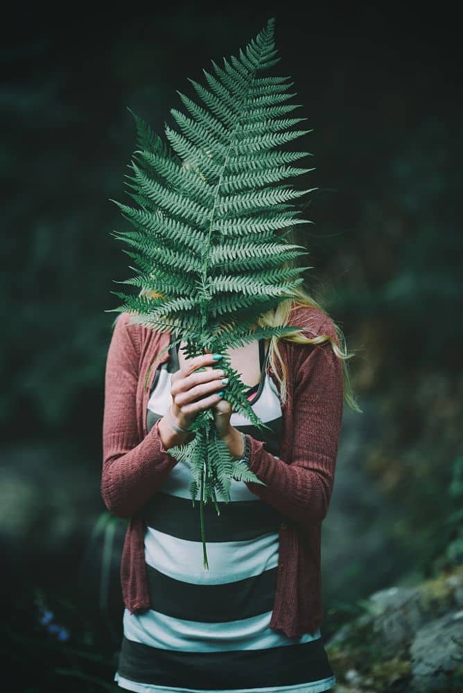 In forest